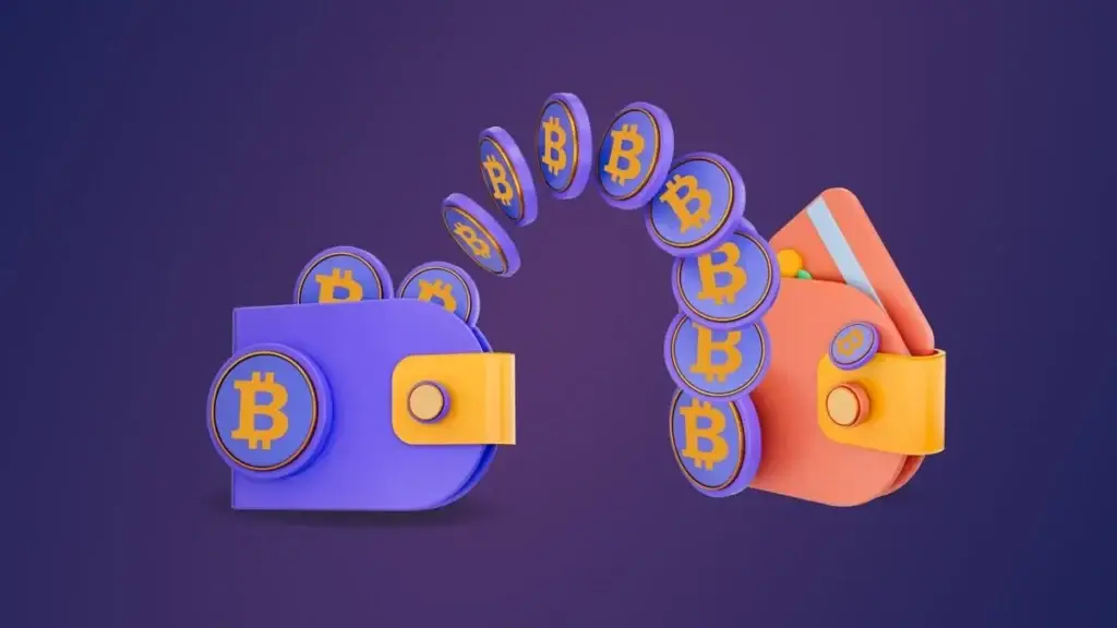 Какой криптокошелек выбрать: обзор популярных, советы экспертов